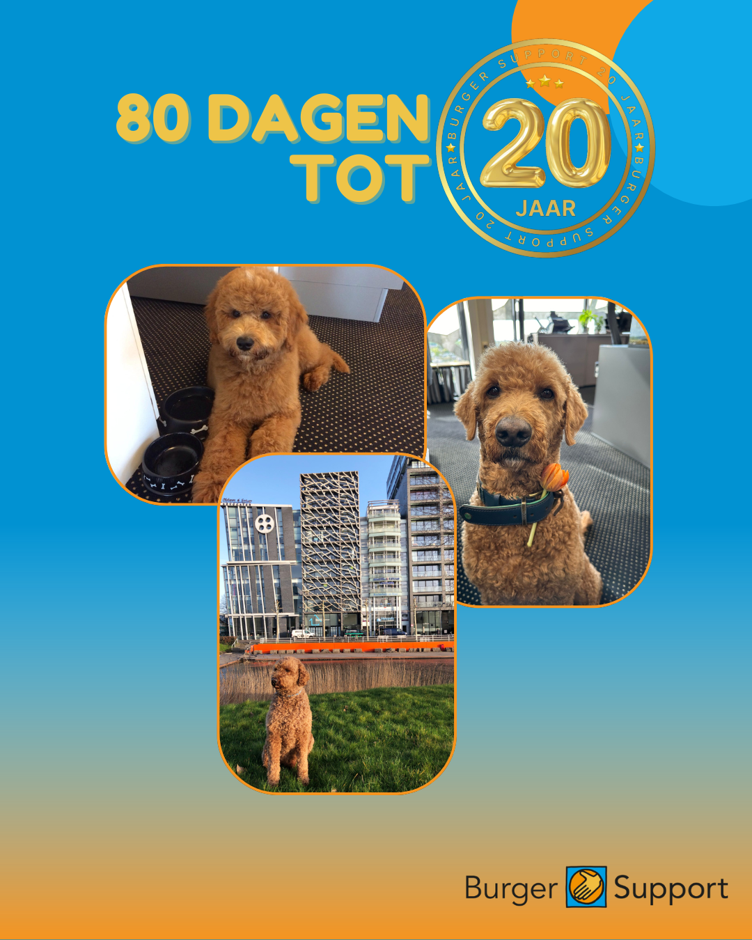 80 dagen tot
