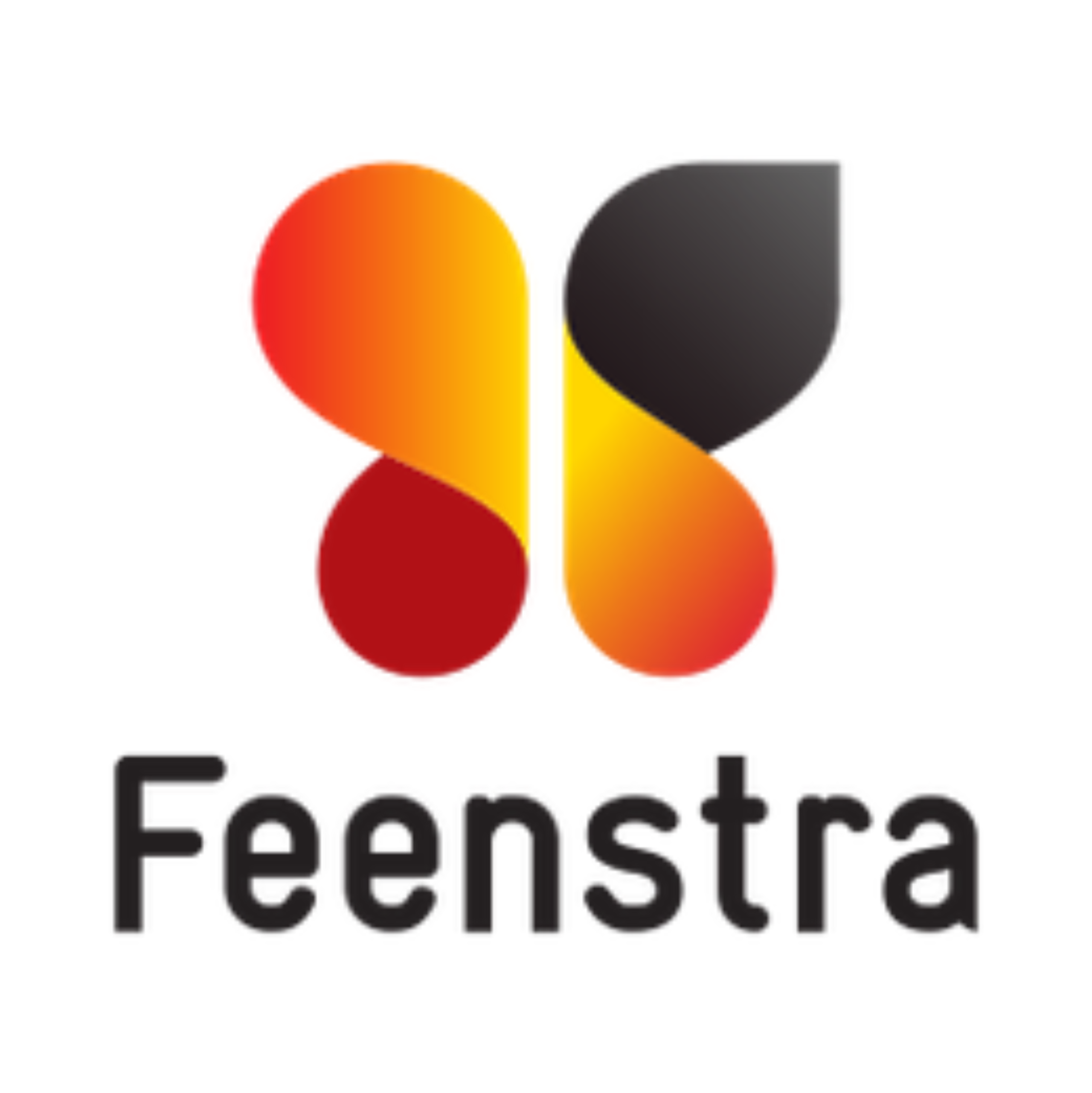 logo feenstra