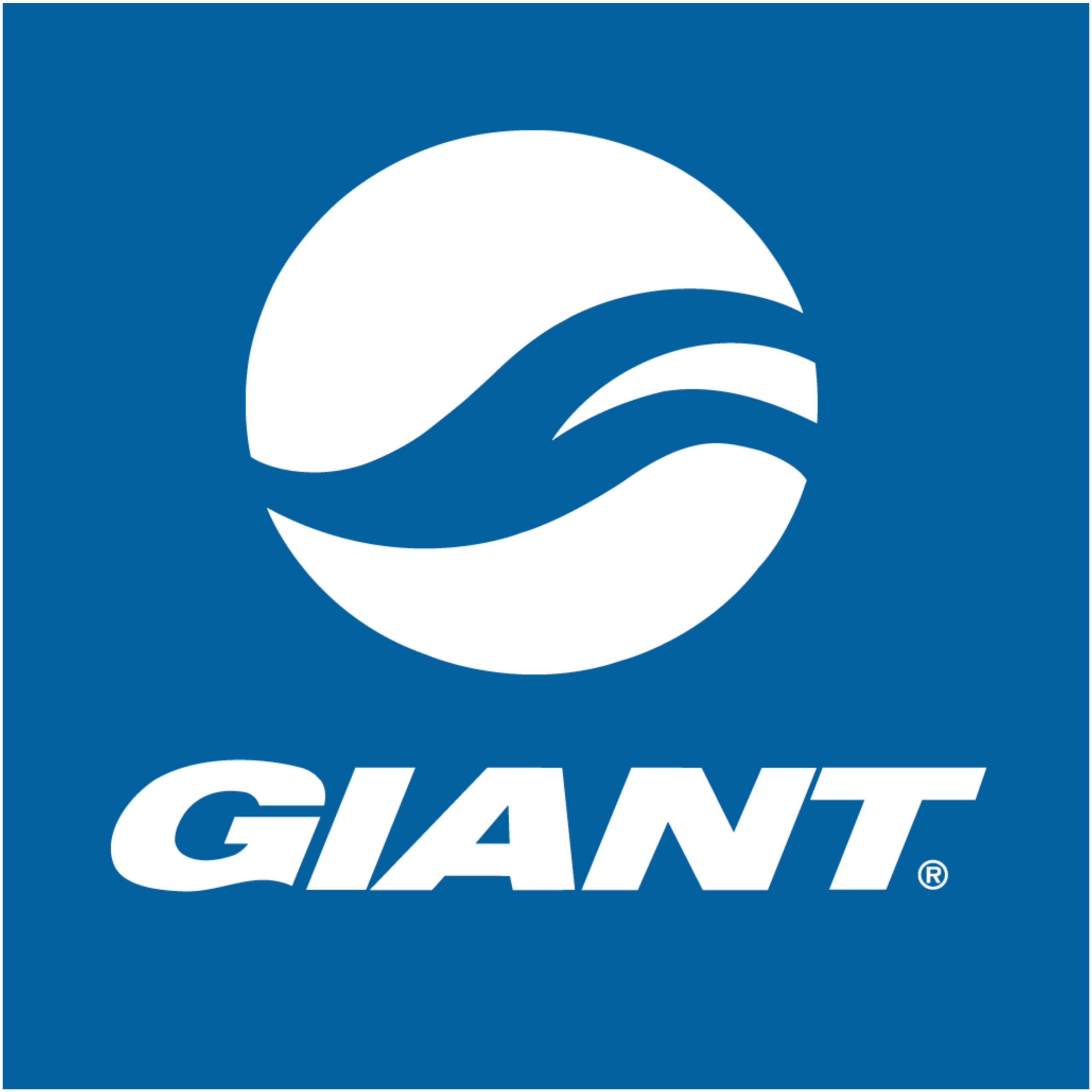 logo giant